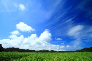 f760c82c9932a9f275d9effd61b9c342_l